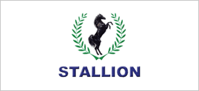 stallion